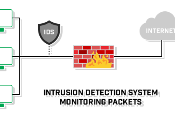 What is an intrusion detection system and how does it work?
